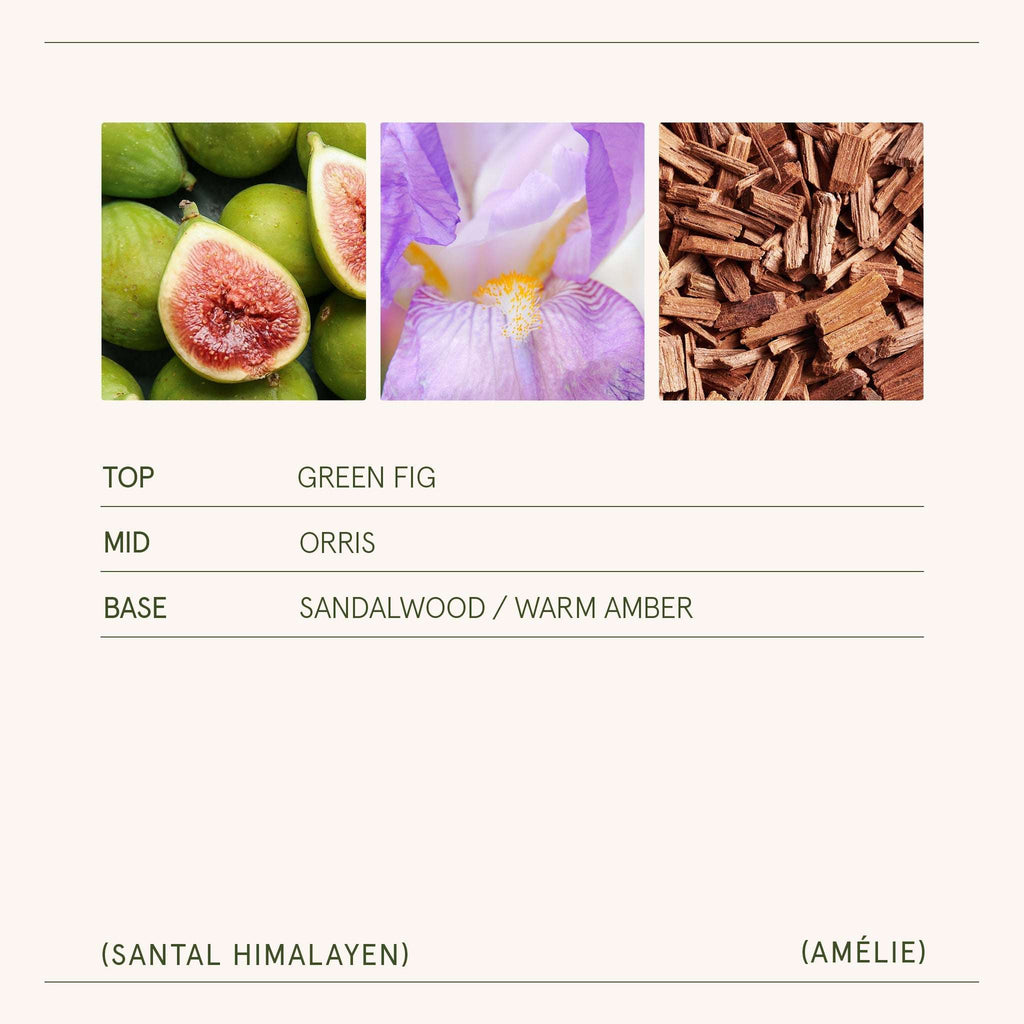 Amélie –  Santal Himalayen Candle