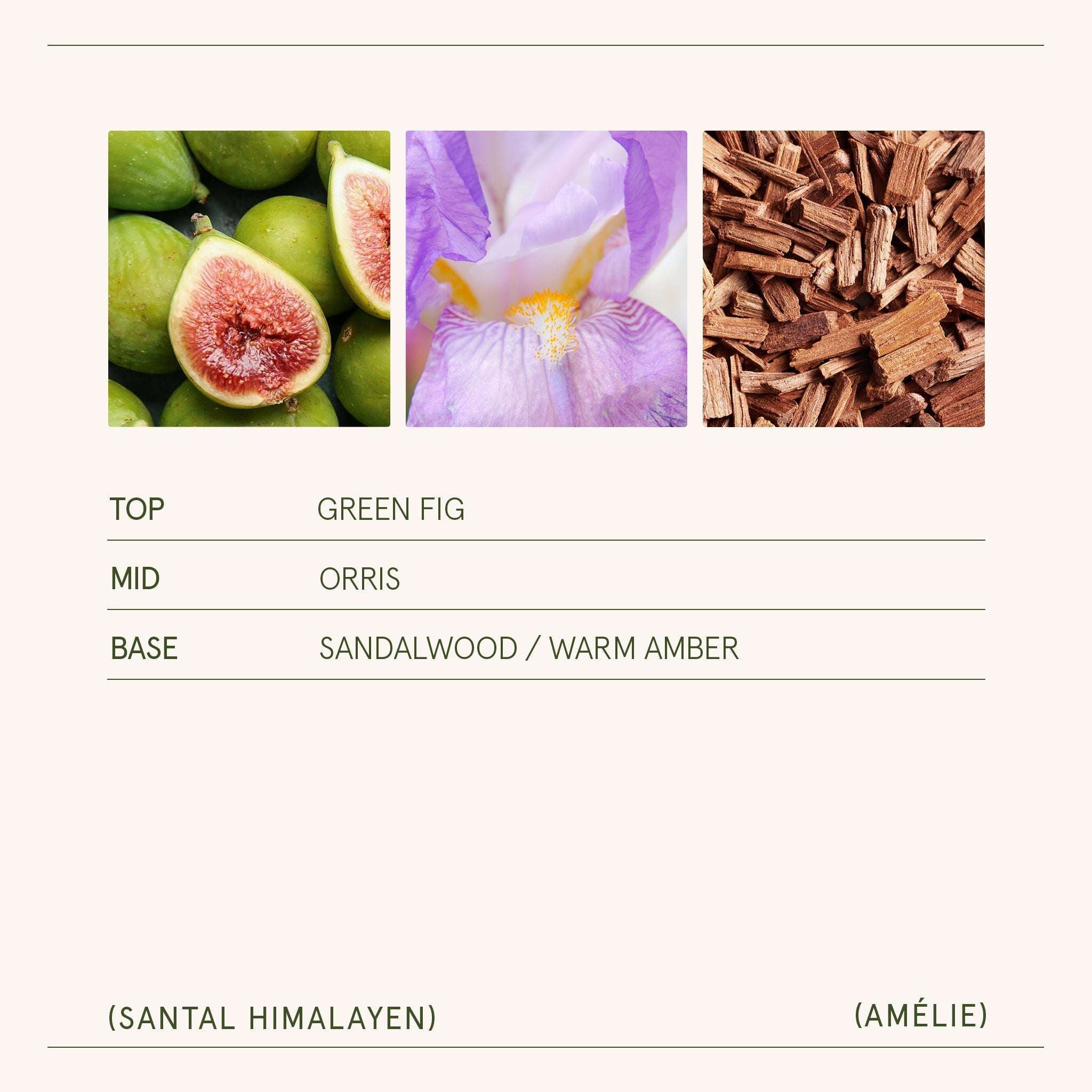Amélie –  Santal Himalayen Candle